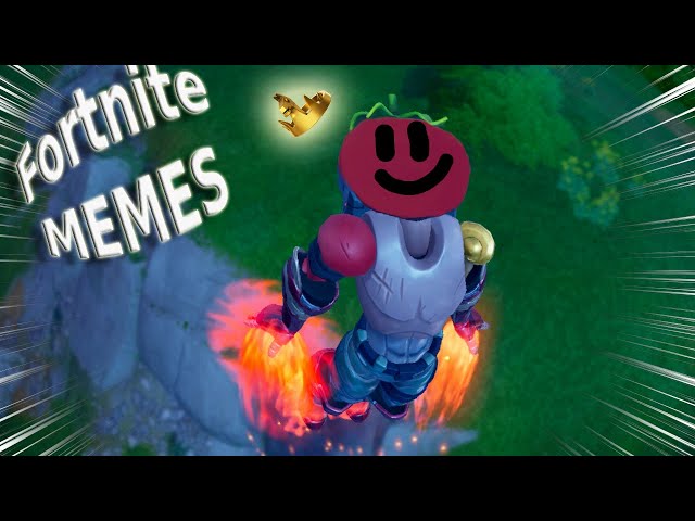 The Best & Weirdest Fortnite Moments?! (FUNNY MEMES)