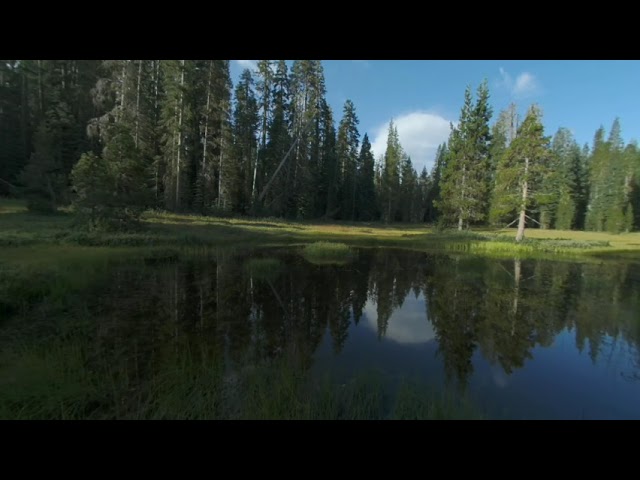 Summit Meadow Mindfulness