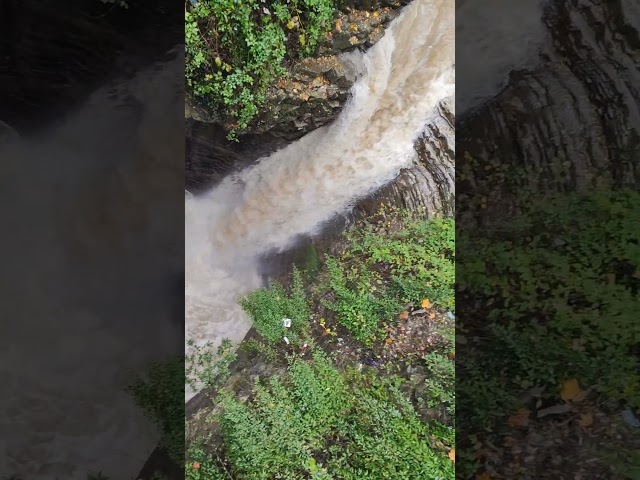 NATURE ASMR 🗺️ NORTH OF IRAN  #nature #travel #waterfall #mountains #asmr #relax #beautifulplace