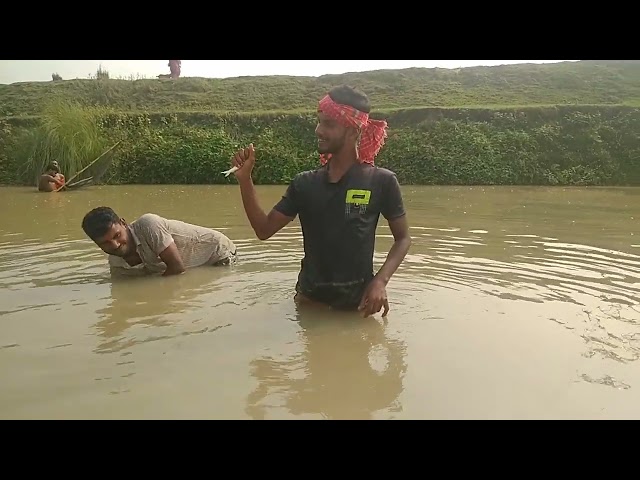 fish video 2024 || village polo fish video today || New fishing video creator