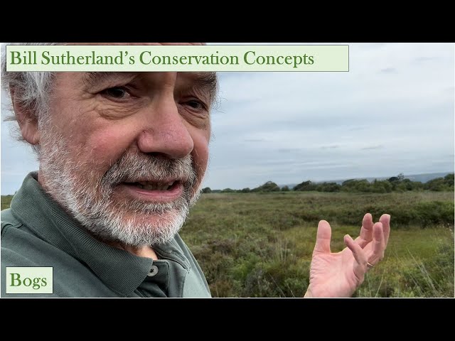 Bogs: origin, ecology and conservation