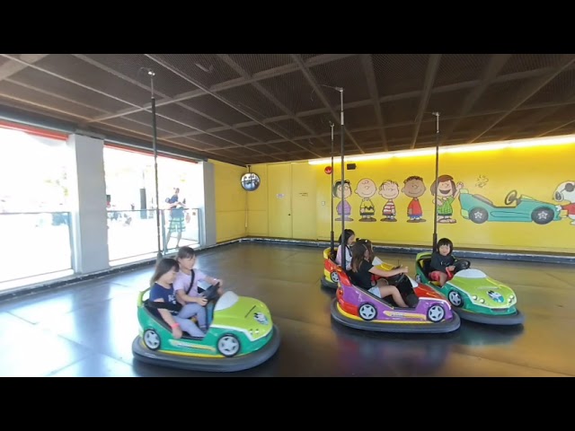 [VR180] Bumper cars at Great America!