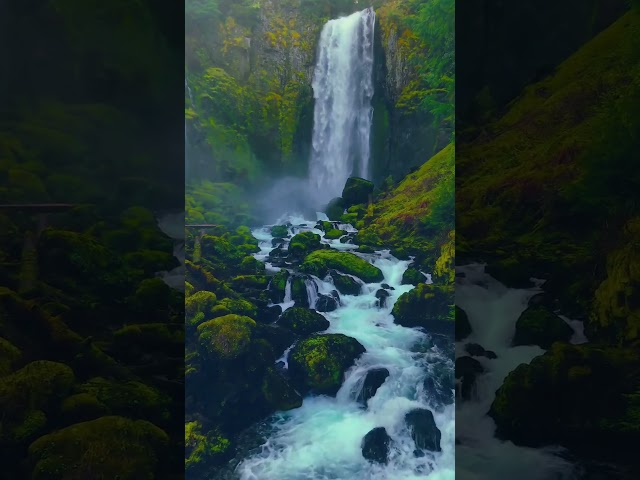 Fit Man Relaxing Under A Peaceful Waterfall - #nature #naturesounds #waterfall #shorts