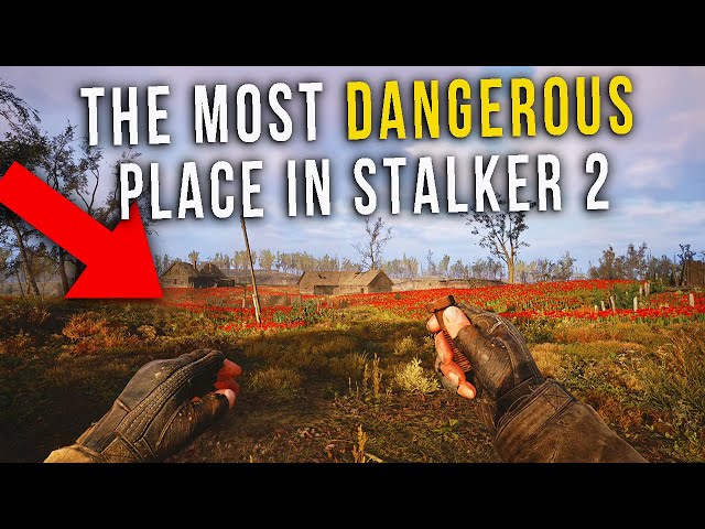 STALKER 2 EASTER EGGS & Secrets- STRELOK, MOST DANGEROUS PLACE, TOYS / SECRETS & Details