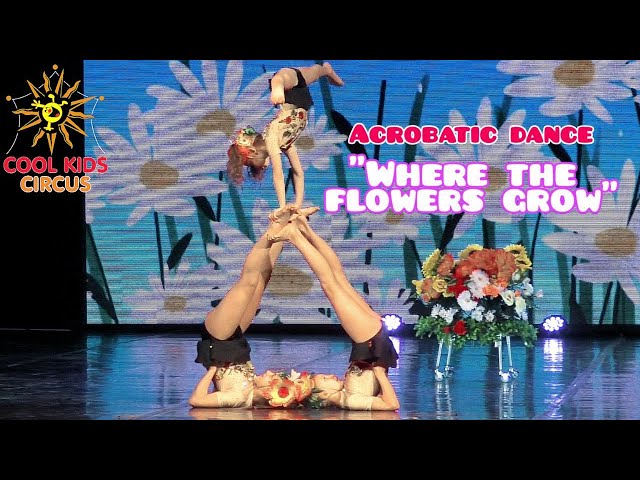 Debut. Trio Acrobatics (children). Acrobatic dance - "Where the flowers grow."