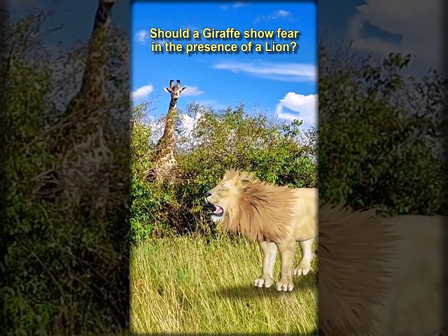 Intriguing yet well-done virtual juxtaposition of real wildlife • #shorts