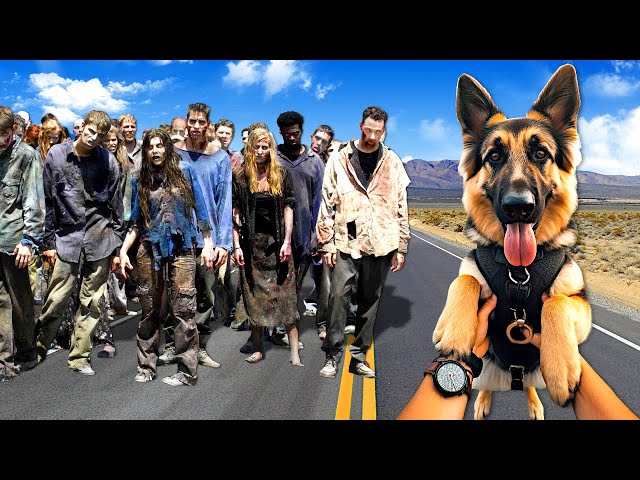 Rescuing a DOG from ZOMBIES! (Arizona Sunshine 2)