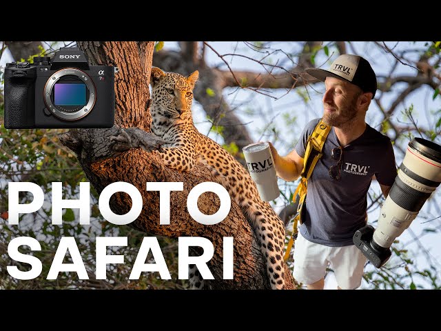 On Safari in Botswana