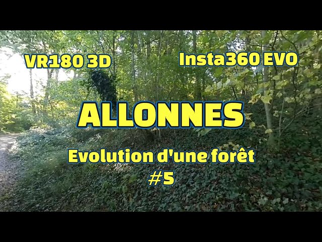 2022   VR180 3D   NATURE #5    Evolution d'une forêt   21 sept    Insta360 EVO   4k injected