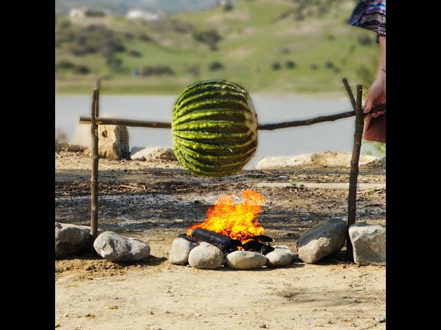 Showing you how to harvest wild cactus 🌵 for delicious desert meal 😋 #cooking #survival #bushcraft