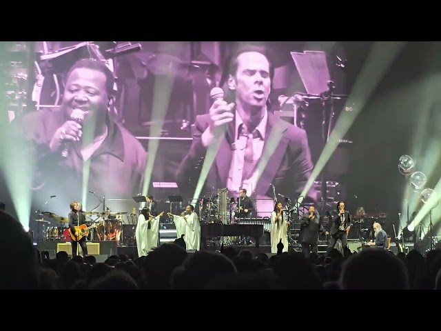 Nick Cave - White Elephant - Antwerp 30.10.24