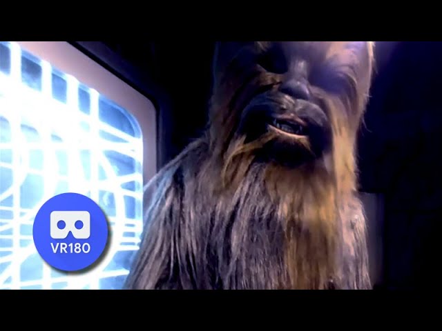 Chewbacca Meet and Greet VR180 Star Wars Disney