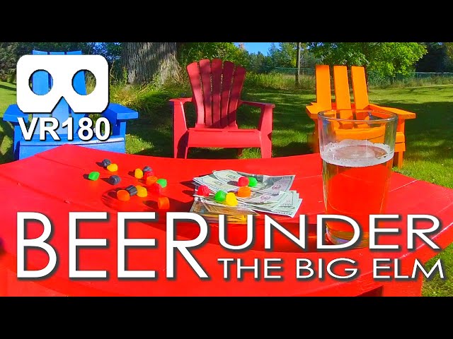 Beer Under The Big Elm: Relax With Your Favorite Brew And Some Snacks in Virtual Reality / VR180