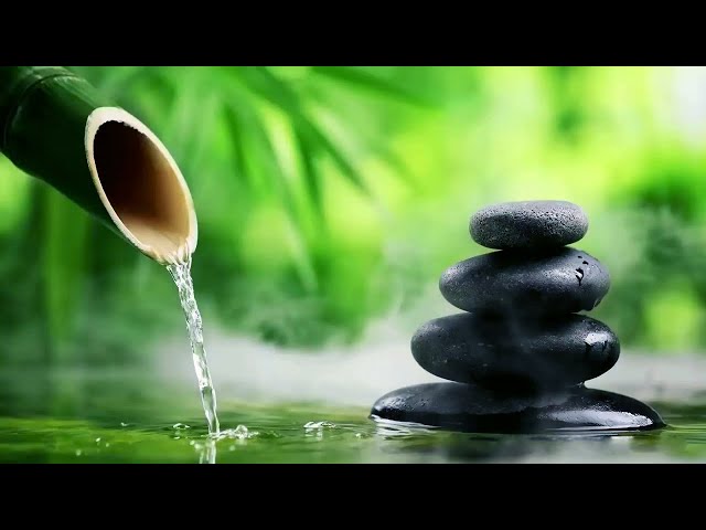 Bamboo Water Fountain Healing 24/7 自然の音とともに音楽をリラックス バンブーウォーターファウンテン 【癒し音楽BGM】