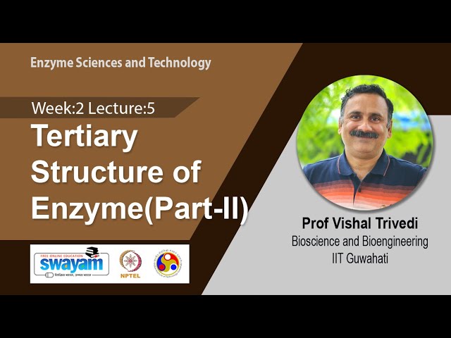 Lec 10: Tertiary Structure of Enzyme(Part-II)