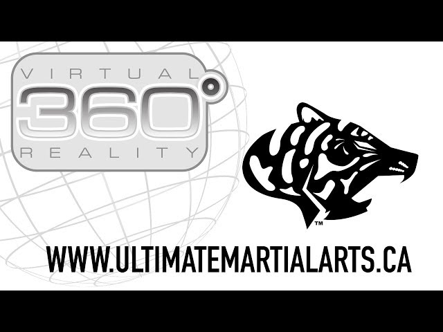 Ultimate Martial Arts - 360 VR