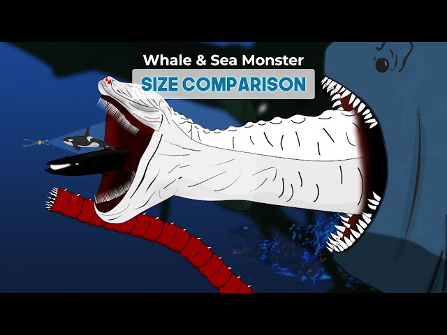 Whale, Fish and Sea Monster Size Comparison