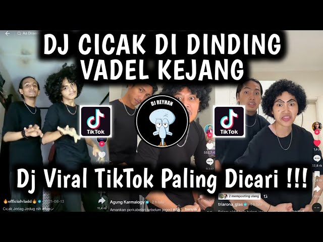 DJ CICAK CICAK DI DINDING VADEL TREND DANCE VADEL | RYAN WDF X DJ NASA X VINSKY VIRAL TIKTOK TERBARU