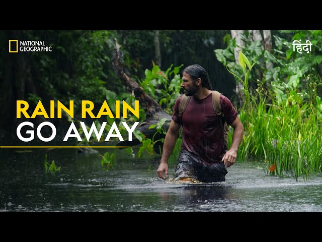 Rain Rain Go Away | Primal Survivor | हिन्दी | National Geographic