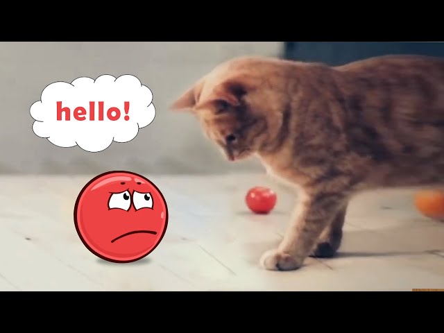 Red Ball 4 Animation | Red Ball In Real Life Full