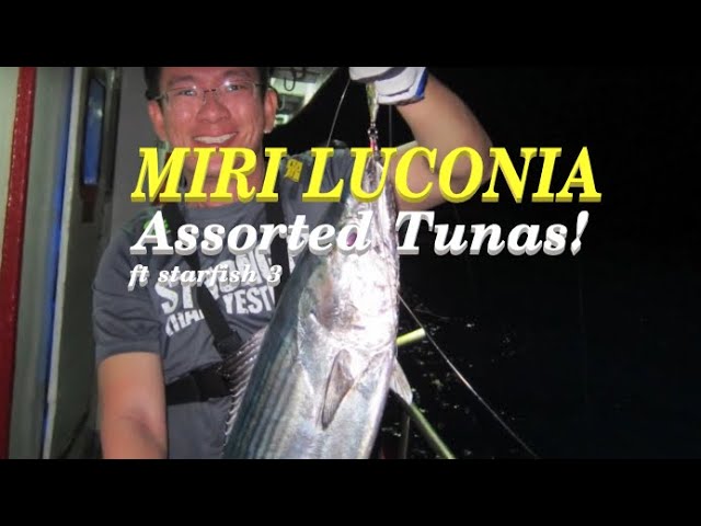 Miri Luconia Offshore - Starfish 3 Part 3 (Tuna!)