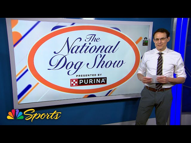 2024 National Dog Show: Popular dog trends with Steve Kornacki | NBC Sports