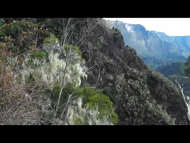 Mafate Marla Col du Taibit Ile de la Réunion Reunion Island 06