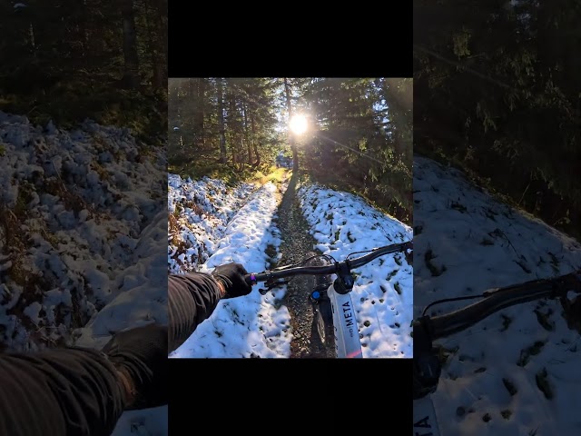 up - down  #mtb #bike #gopro  #pov #commencal #trail #mountains #switzerland  #mountainbikes