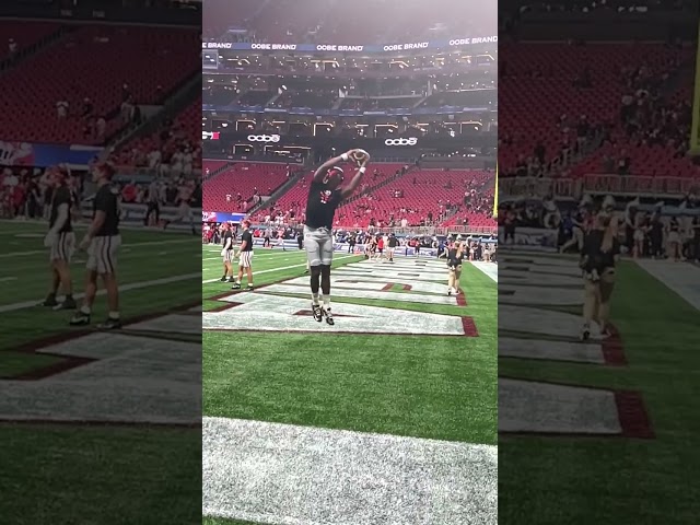 Georgia WR Colbie Young going up and getting it before the 2024 college football game vs. Clemson