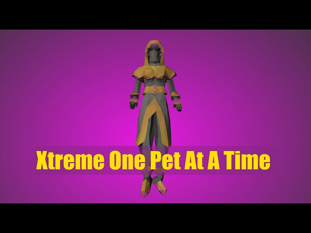 Xtreme One Pet At A Time - #1