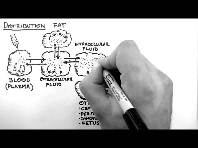 Pharmacokinetics 3 - Distribution