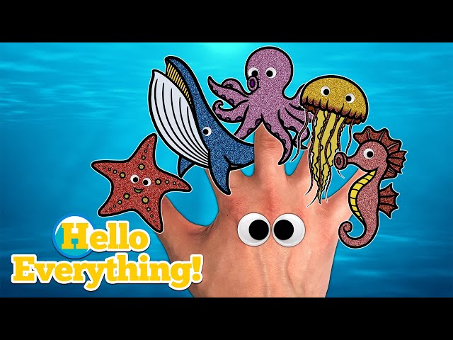 Sea Animals Finger Family | Kids Songs and Nursery Rhymes