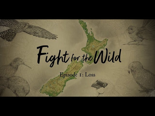 Fight for the Wild | 1: Loss | RNZ