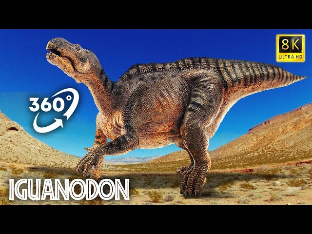 VR Jurassic Encyclopedia #17 - Iguanodon dinosaur facts 360 Education