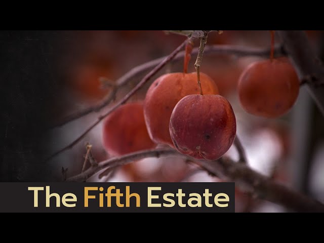 Inside an alleged immigration scheme to exploit foreign workers - The Fifth Estate