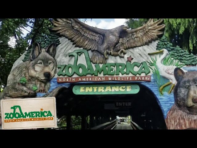 ZooAmerica 8K VR 360° Walkthrough | Explore Hershey's Wild Adventure! 🐾🌟