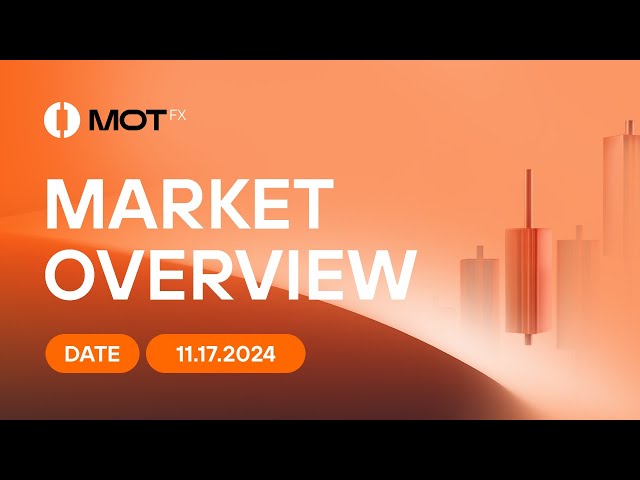 Market Overview 2024.11.17