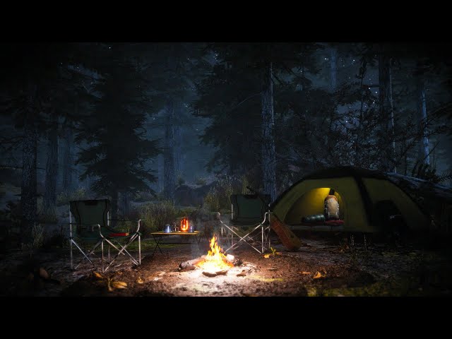 Campfire Ambience at the Forest at Night with Animals Sounds such as Owls and Crickets for Relax