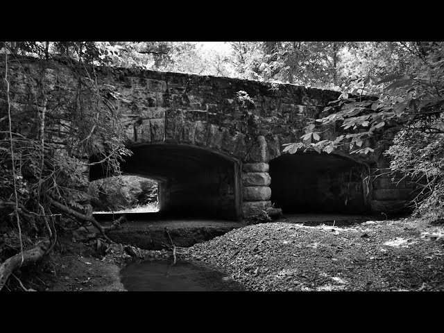 Exploring Dr. Edmund A. Babler State Park in Centaur, Missouri: June 2024 (Day 1)