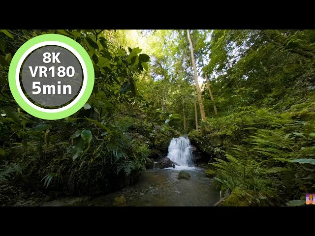 5 Min Meditation Watch the waterfall on the river VR180 8K Binaural ASMR