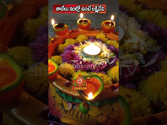 తాబేలు ఇంట్లో ఉంటే లక్ష్మీ కటాక్షం #chaganti #kurma #tortoise #tableau #srikurmam #lakshmi #shorts