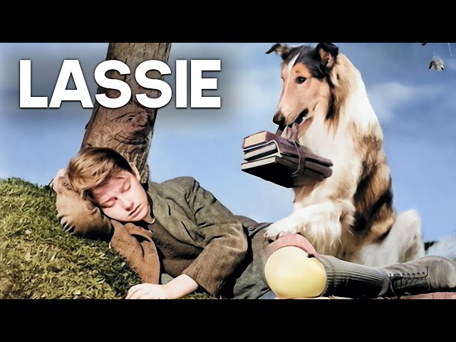 Lassie - The Painted Hills | Free Drama Film