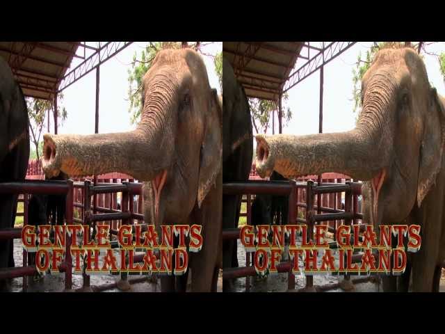 Gentle Giants of Thailand Trailer in 3D