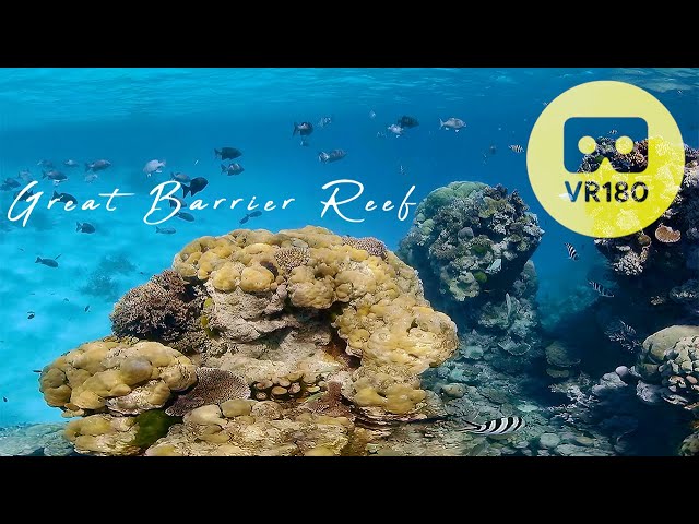 VR180 Virtual Dive Great Barrier Reef | Underwater 5.7K for Oculus Quest