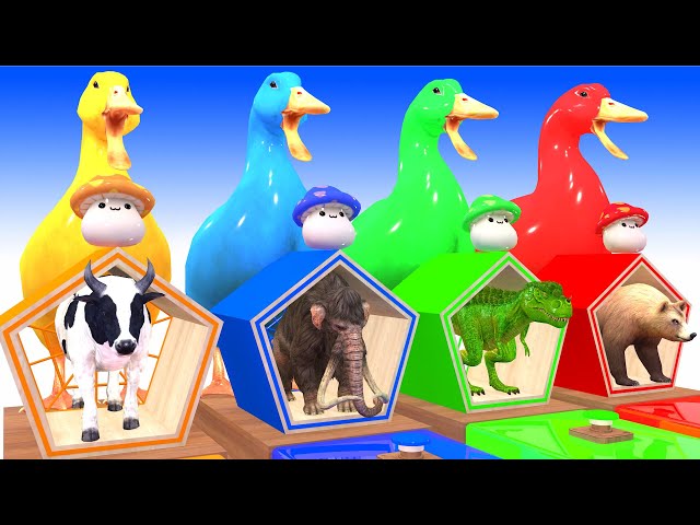 4 Giant Duck Cartoons Cow, Mammoth Elephant, Bear, Dinosaur, Wild Animal Choose the right Button!!!