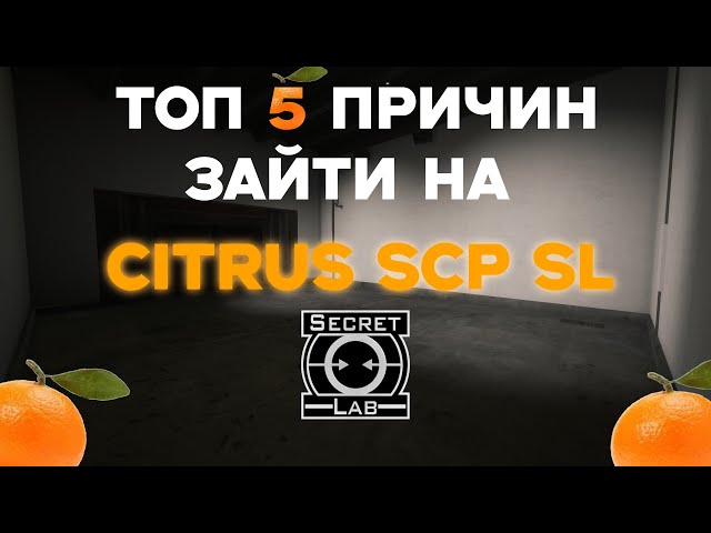 🍊Топ 5 причин зайти на Citrus SCP SL🧡 #fun #scp #scpsl #scpmemes