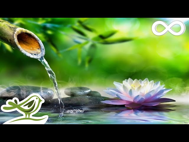 Soothing Relaxation: Relaxing Piano Music, Sleep Music, Water Sounds, Relaxing Music, Meditation