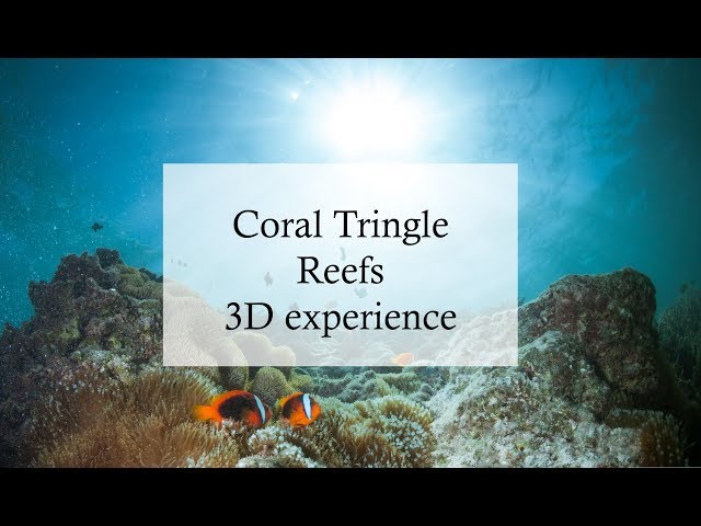 Coral Triangle Indonesia 3D 360° diving experience