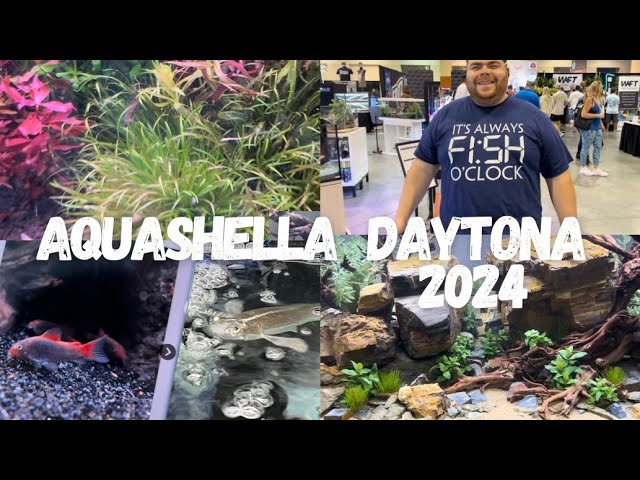 Aquashella Daytona 2024 -Cool PRODUCTS -  Crazy SCAPES - And My BUCKET LIST FISH! 😭😭