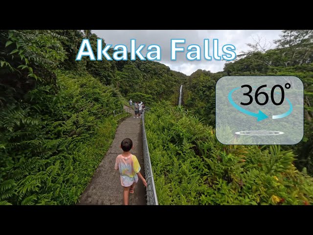 Big Island 2024 - Akaka Falls - 360 Video